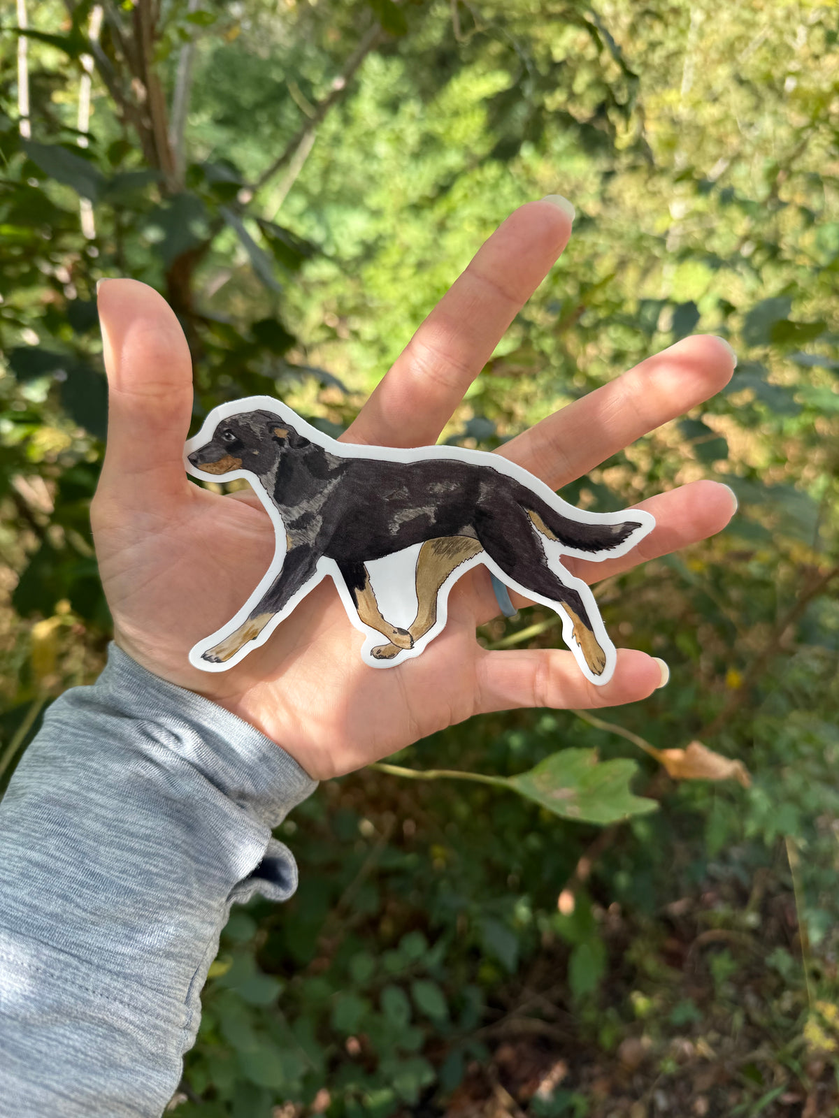 Beauceron Trotting Dog Vinyl Decal – 5” Hand-Painted Gouache Art Sticker