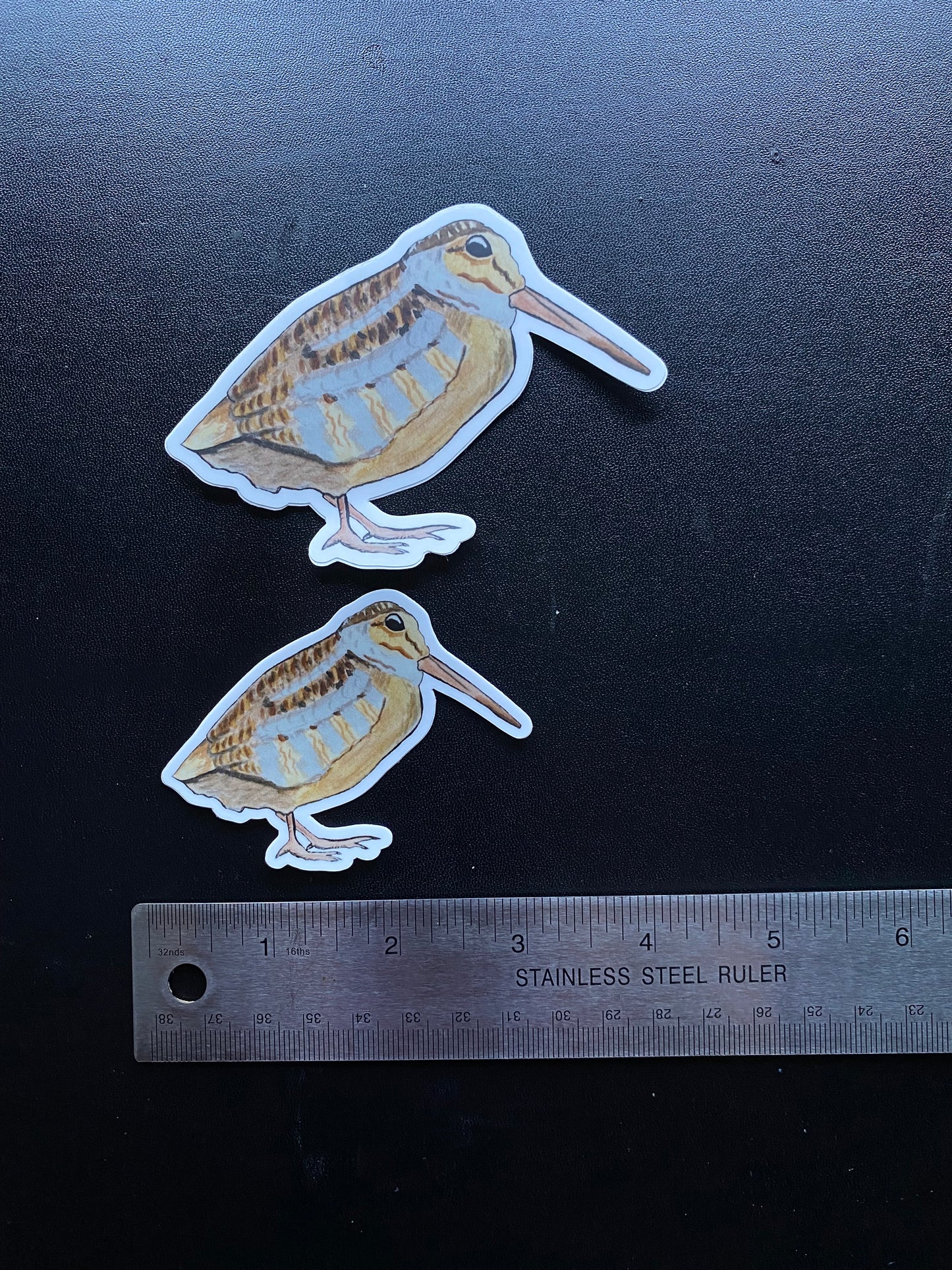 Woodcock 3" or 4” Sticker Decal