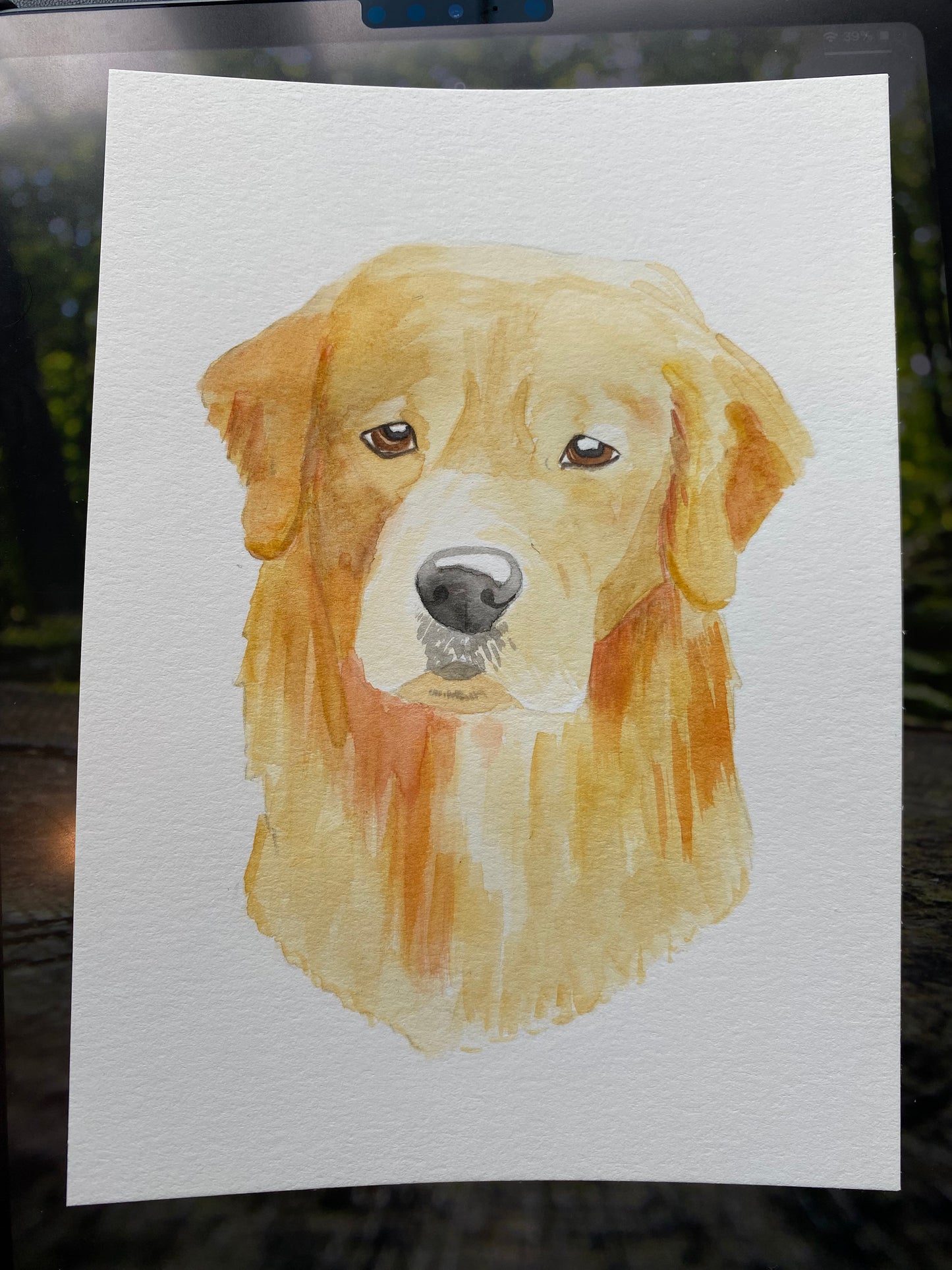 Single Pet or Multi-Pet Portrait 5x7" Paper