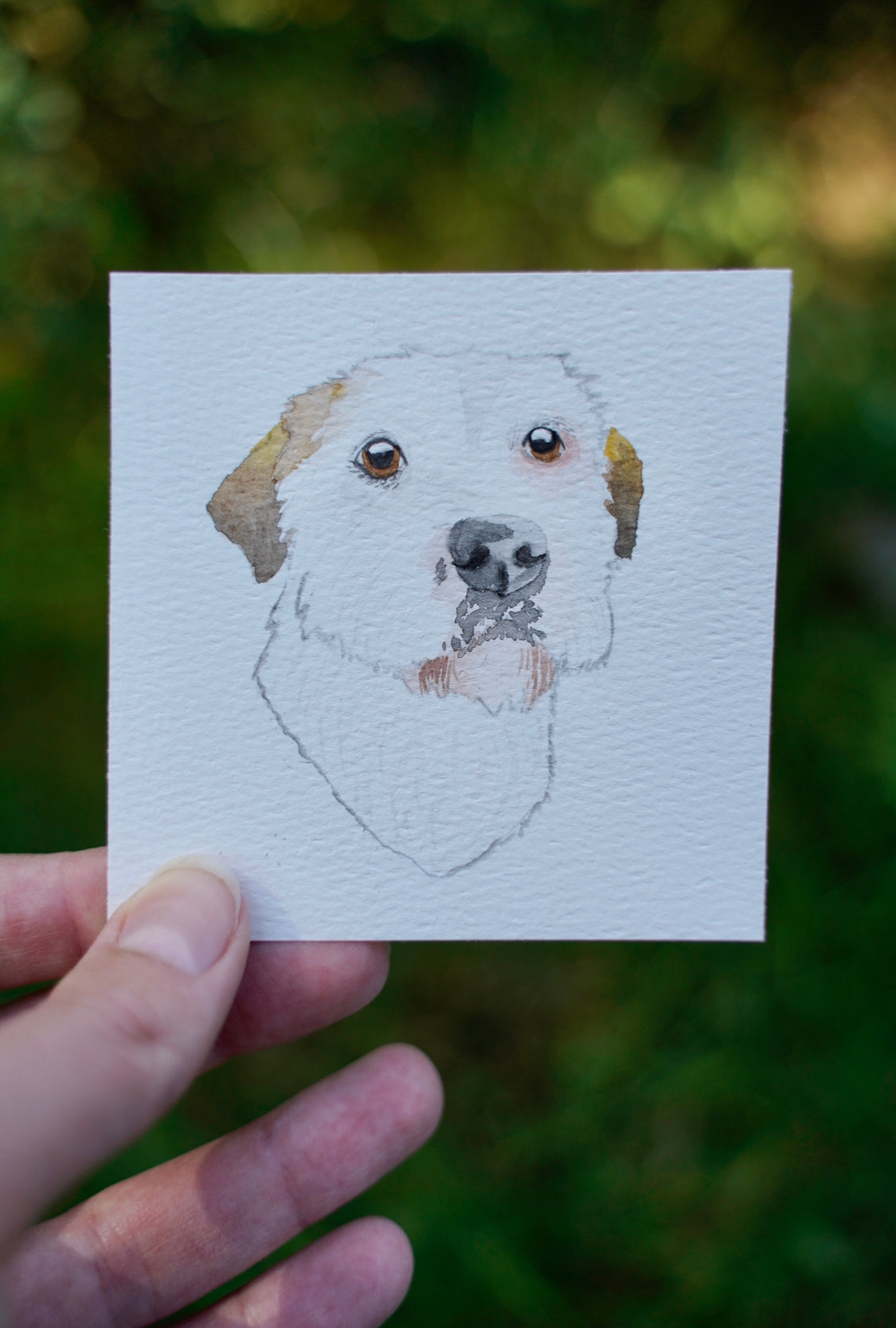 Custom Watercolor Gouache Pet Portrait Square Mini 3.5x3.5" | Unique Painting Art of your Dog Cat Rabbit Horse Reptile Hedgehog and more