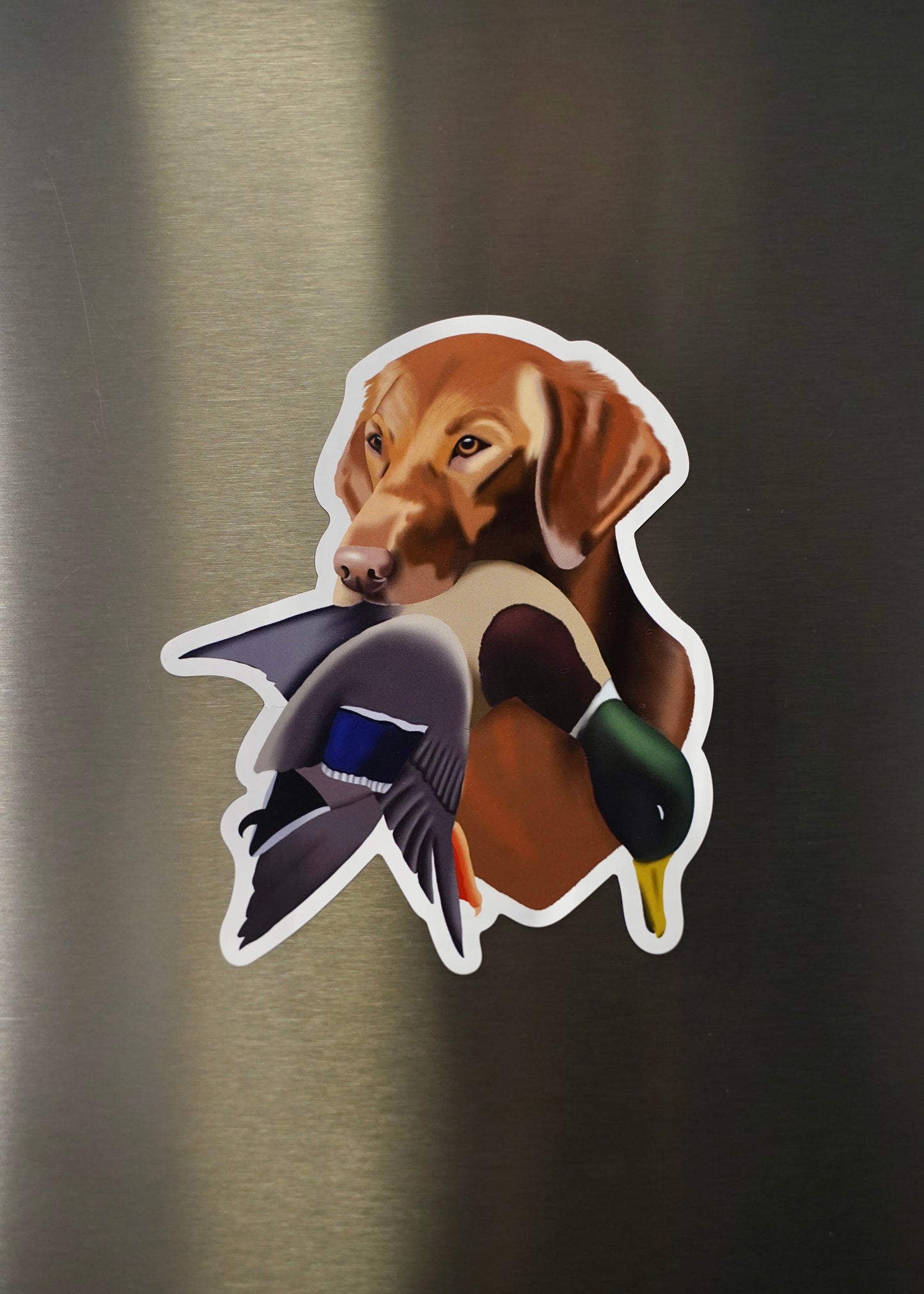 Red Yellow Labrador Retriever Duck Hunting 4” Die Cut Vinyl Magnet