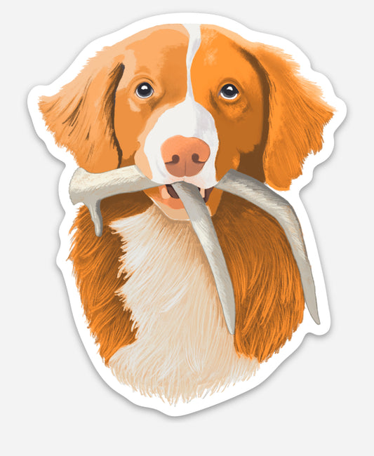 Toller Shed Hunting Retrieving 4" Sticker Decal | Nova Scotia Duck Tolling Retriever NSDTR