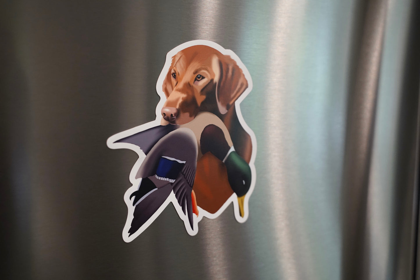 Red Yellow Labrador Retriever Duck Hunting 4” Die Cut Vinyl Magnet