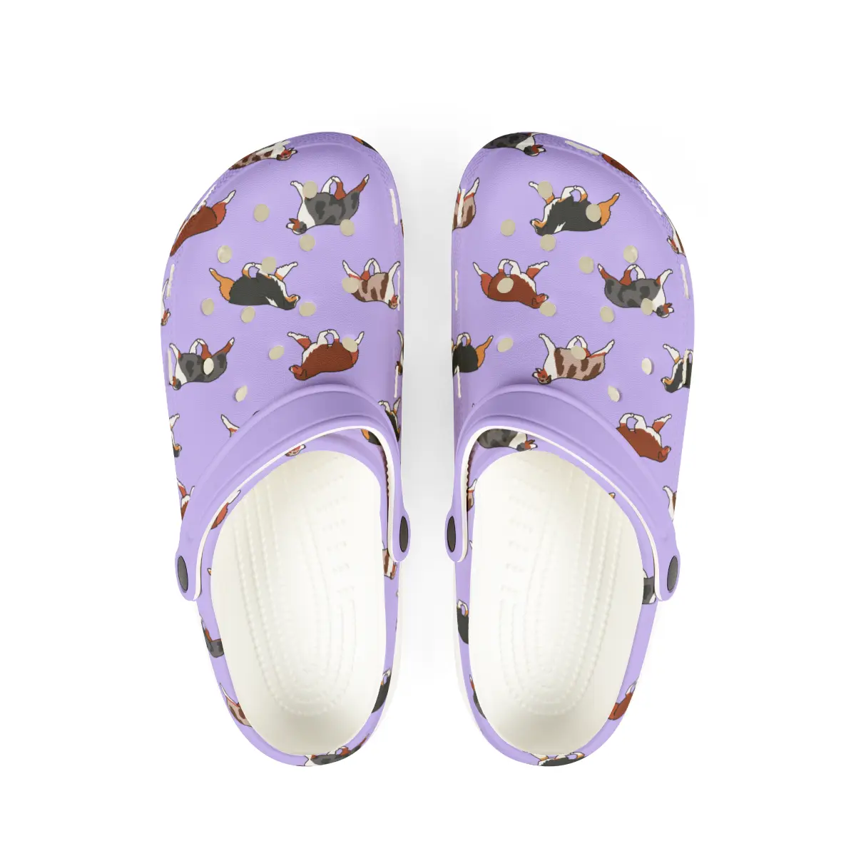 Australian Shepherd | EVA Foam Clogs Crocs Shoes