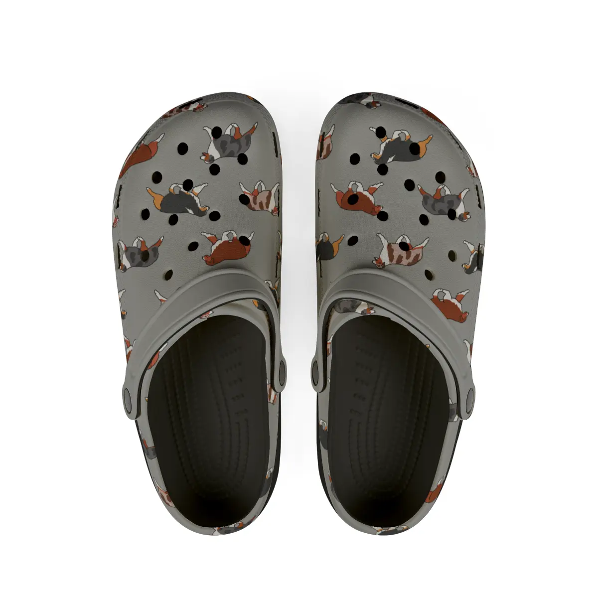Australian Shepherd | EVA Foam Clogs Crocs Shoes