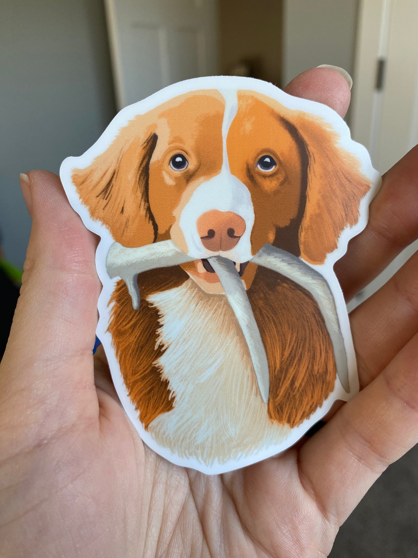 Toller Shed Hunting Retrieving 4" Sticker Decal | Nova Scotia Duck Tolling Retriever NSDTR