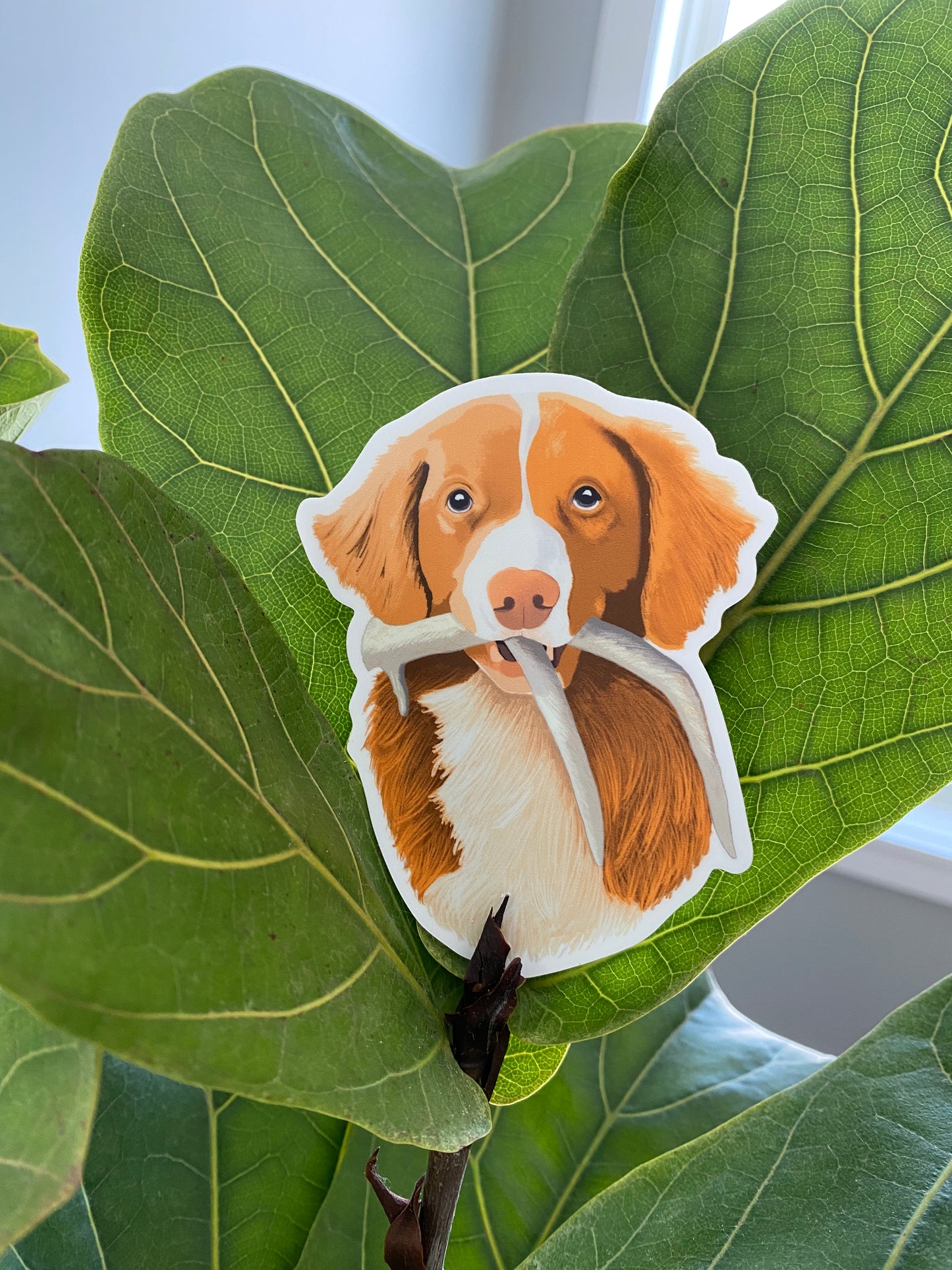 Toller Shed Hunting Retrieving 4" Sticker Decal | Nova Scotia Duck Tolling Retriever NSDTR