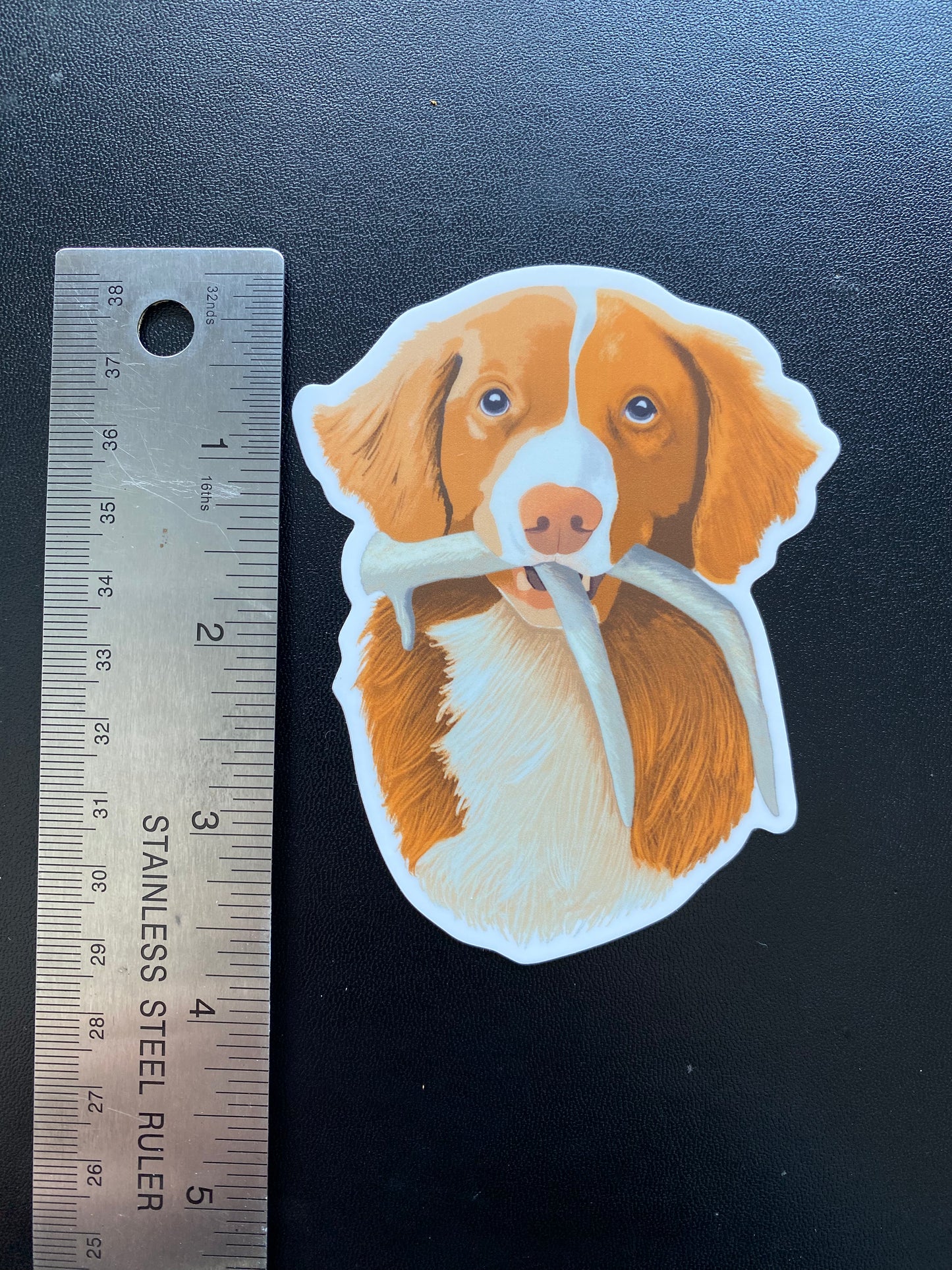 Toller Shed Hunting Retrieving 4" Sticker Decal | Nova Scotia Duck Tolling Retriever NSDTR
