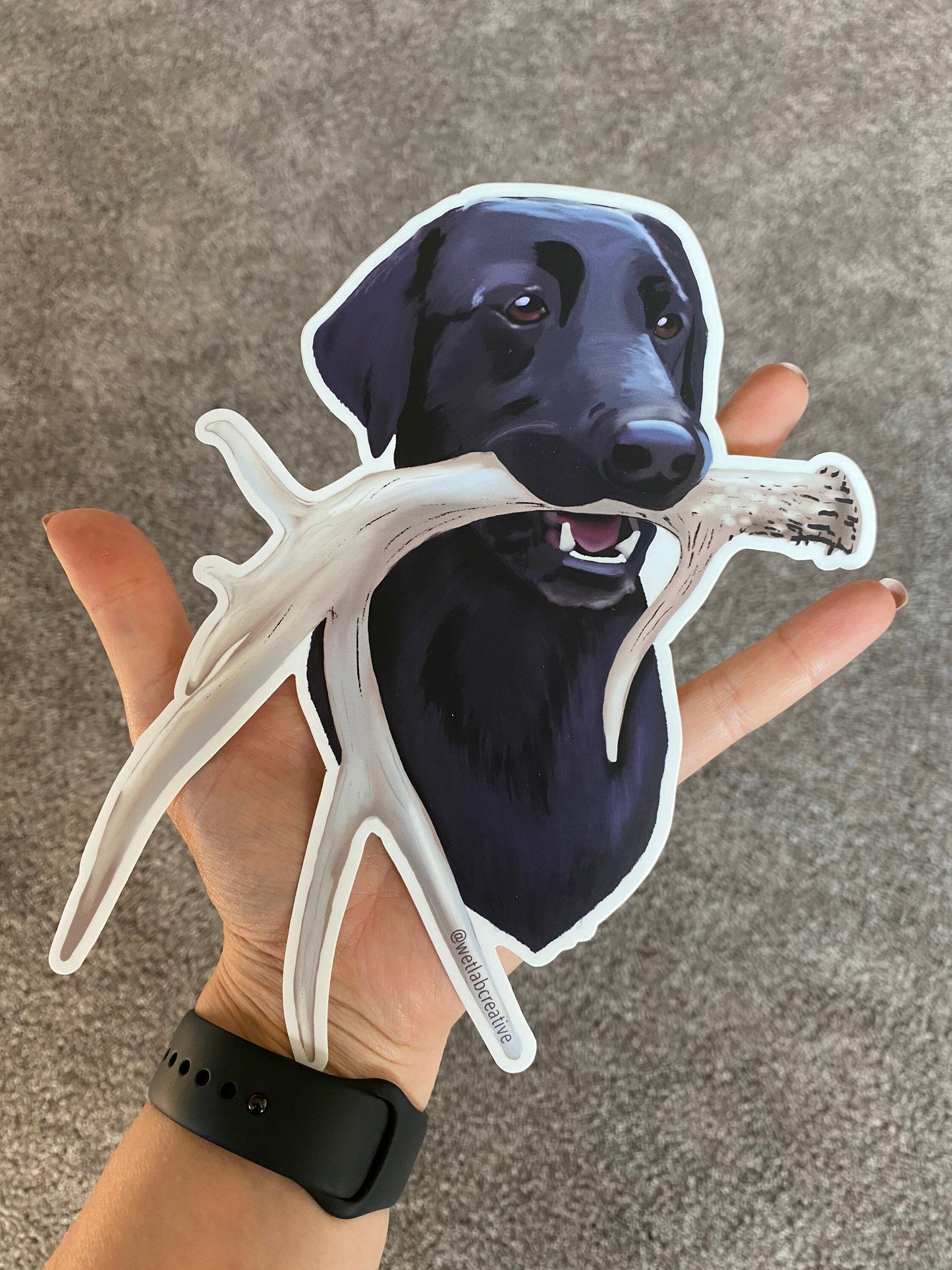 Black Labrador Antler Shed Hunting Lab Retrieving 8" Extra Large Die Cut Vinyl Decal Bumper Sticker: Durable Matte-Finish Active Active