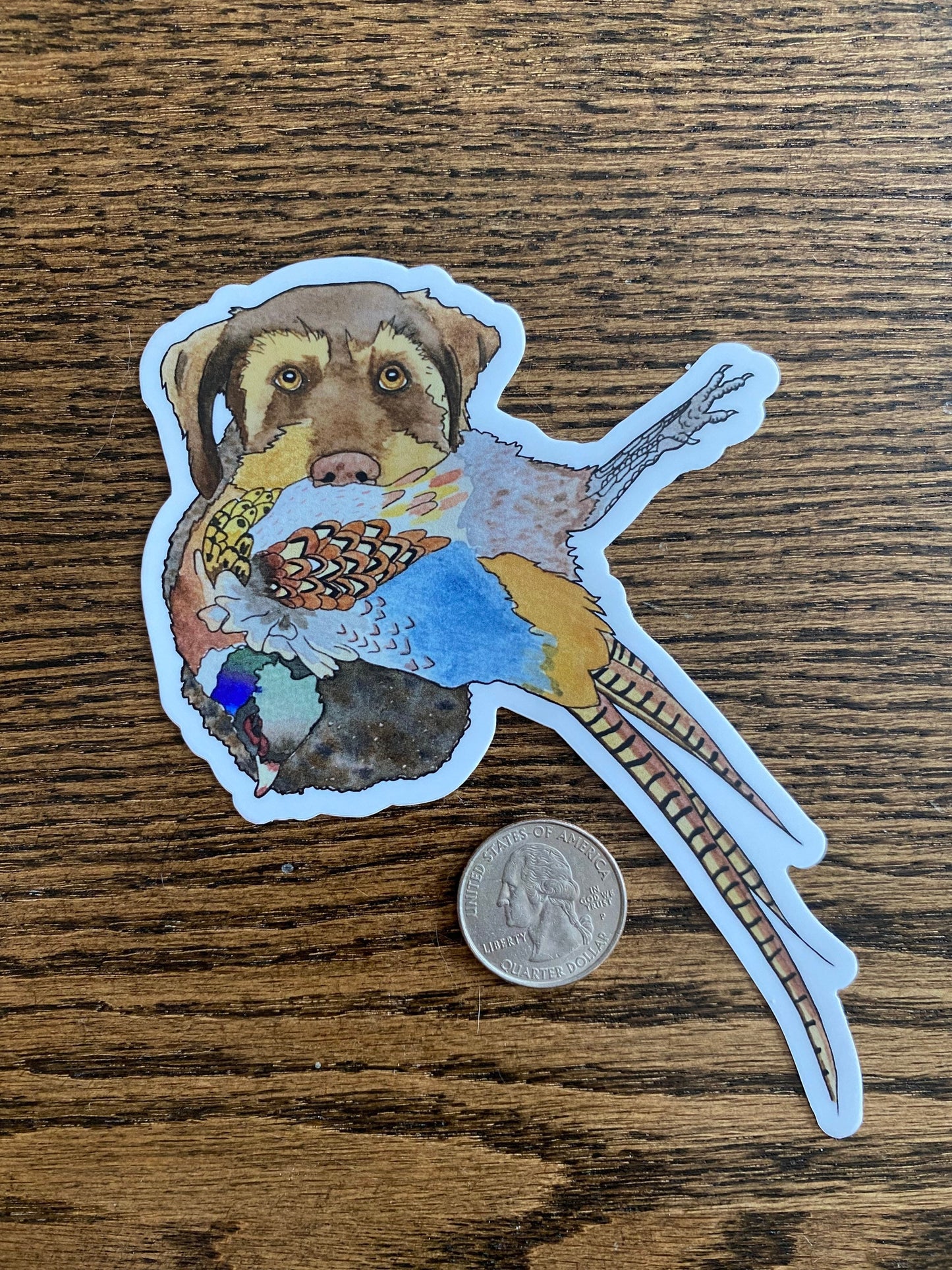 German Wirehaired Pointer Dog with Pheasant 5" Die Cut Vinyl Sticker Decal: Durable Matte-Finish Active Active