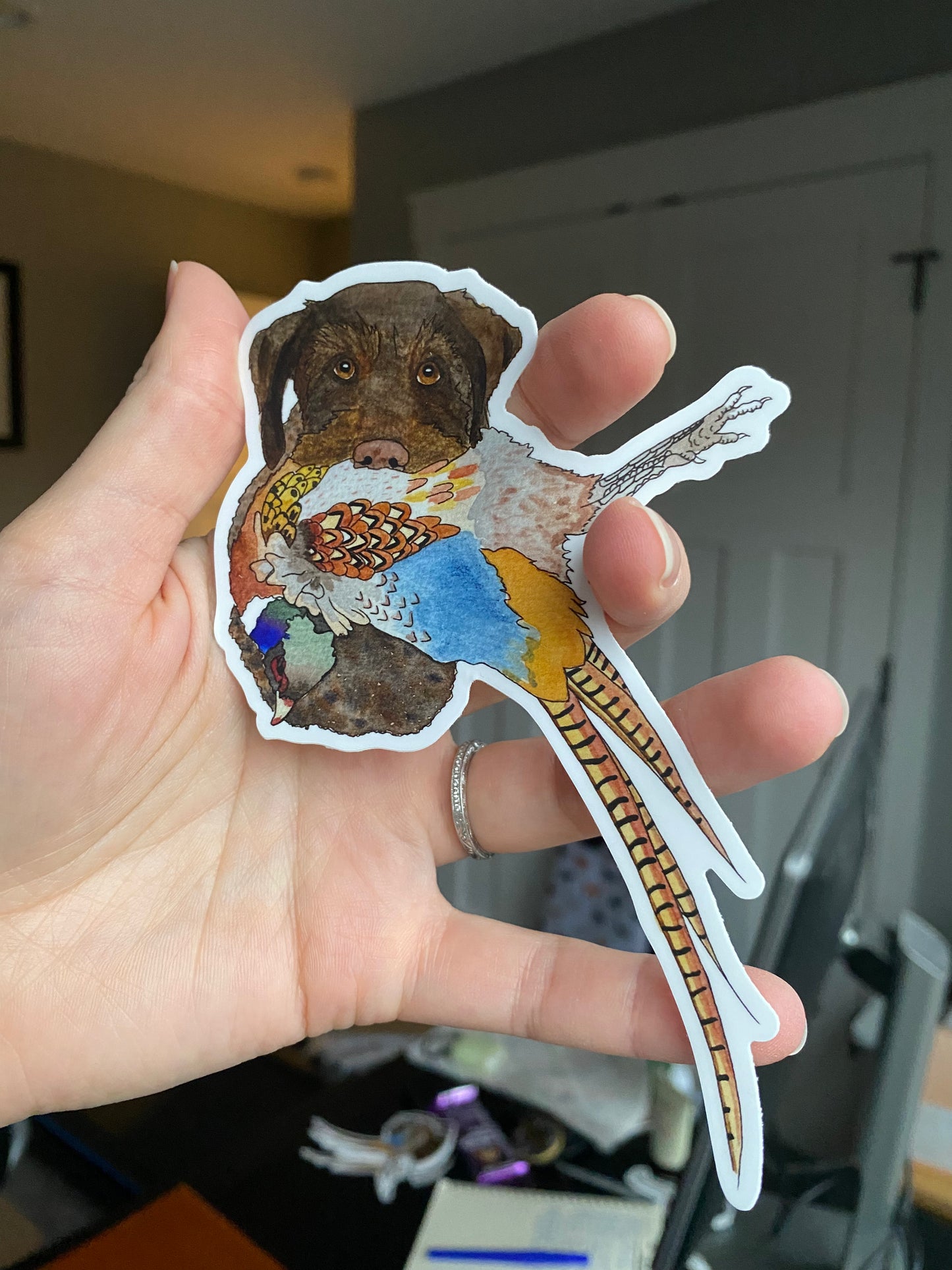 German Wirehaired Pointer Dog with Pheasant 5" Sticker Decal