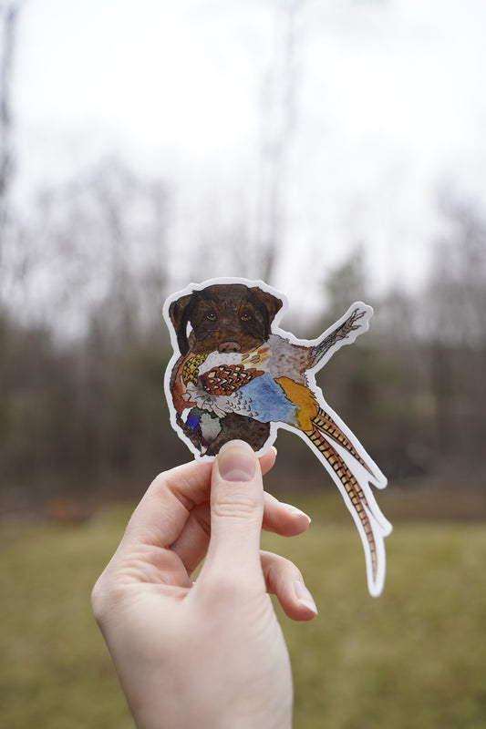 German Wirehaired Pointer Dog with Pheasant 5" Sticker Decal