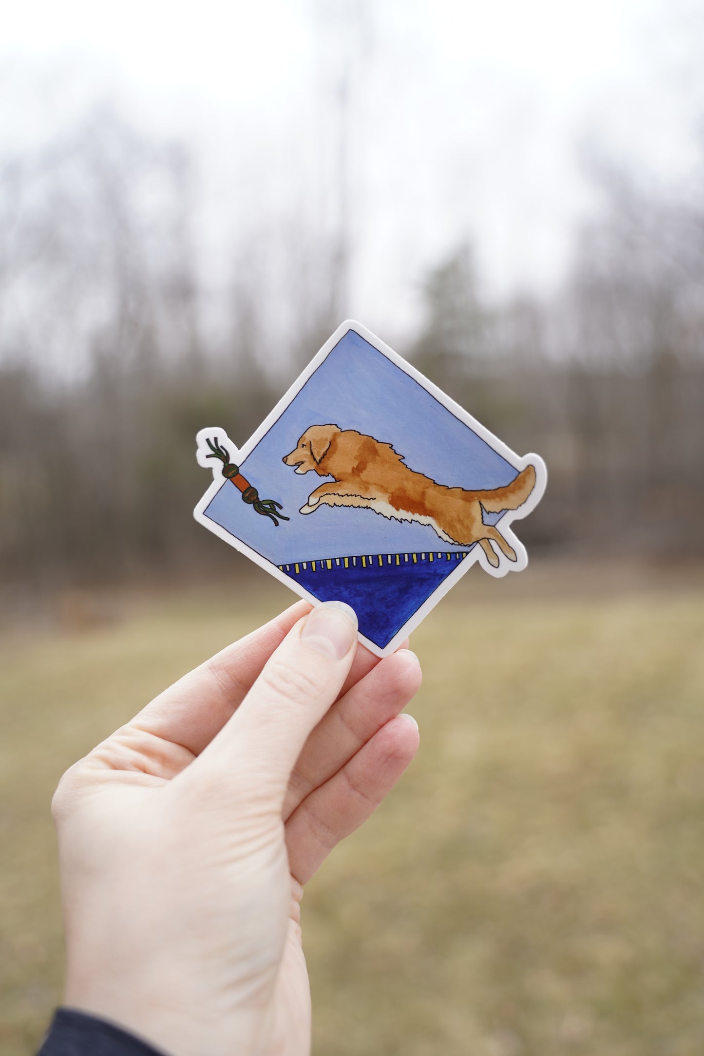 Nova Scotia Duck Tolling Retriever Dog Dock Diving 4" Die Cut Vinyl Sticker Decal: Durable Matte-Finish