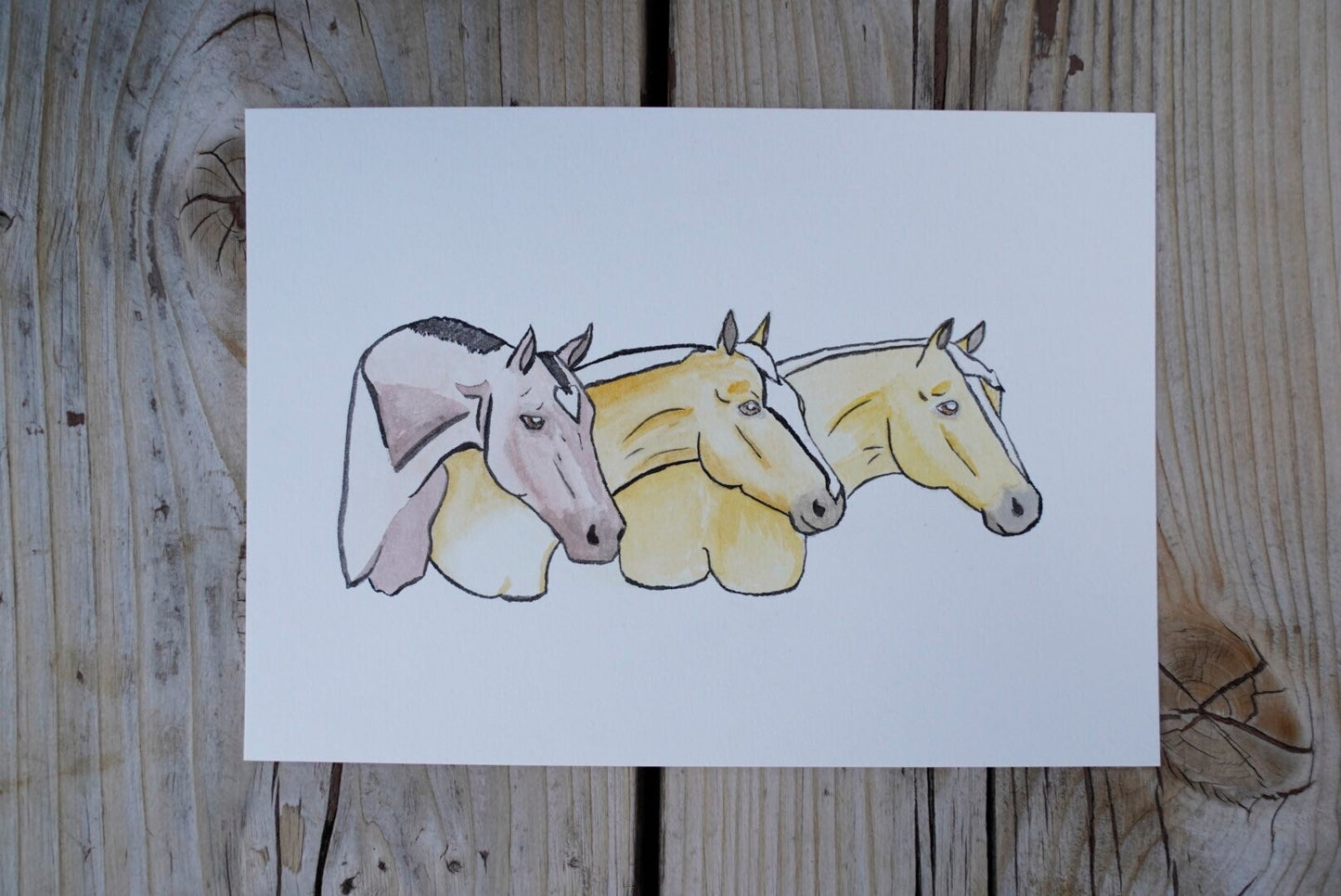 8X10" Paper Single Pet or Multi-Pet Portrait