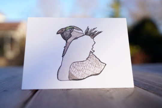 Sage Grouse Head - Game Bird Greeting Card