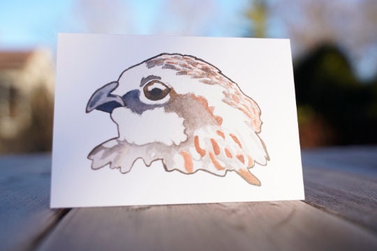 Bob White Quail Head - Game Bird Greeting Card