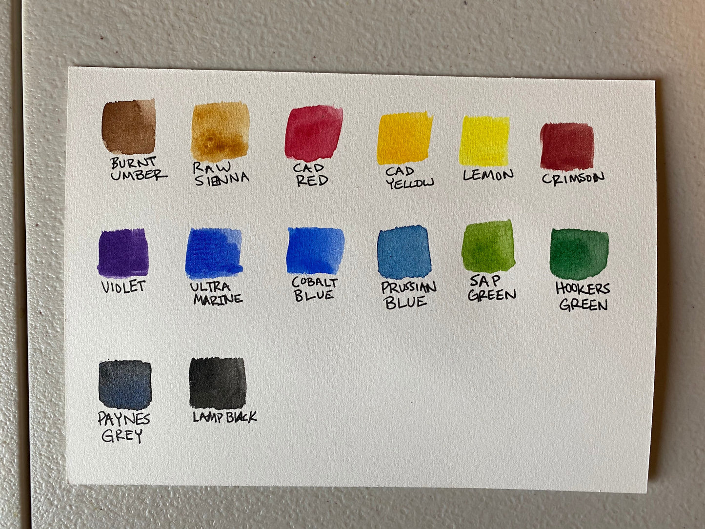 Color Splash Custom Watercolor Pet Portrait 5x7"
