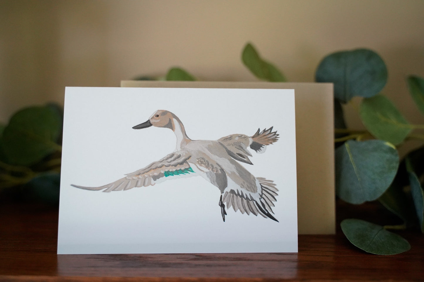Pintail Duck Full Body - Game Bird Greeting Card