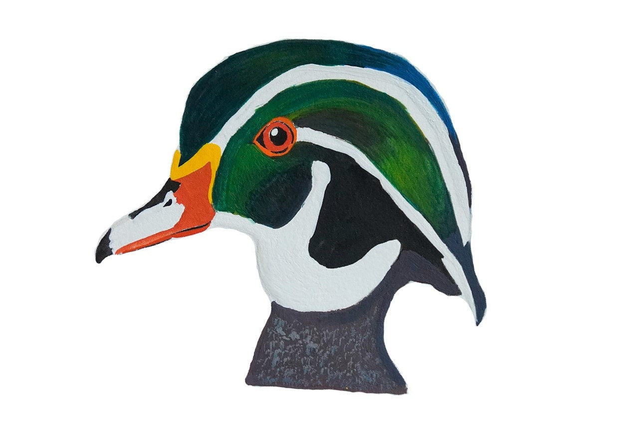 Wood Duck Head - Game Bird Greeting Card