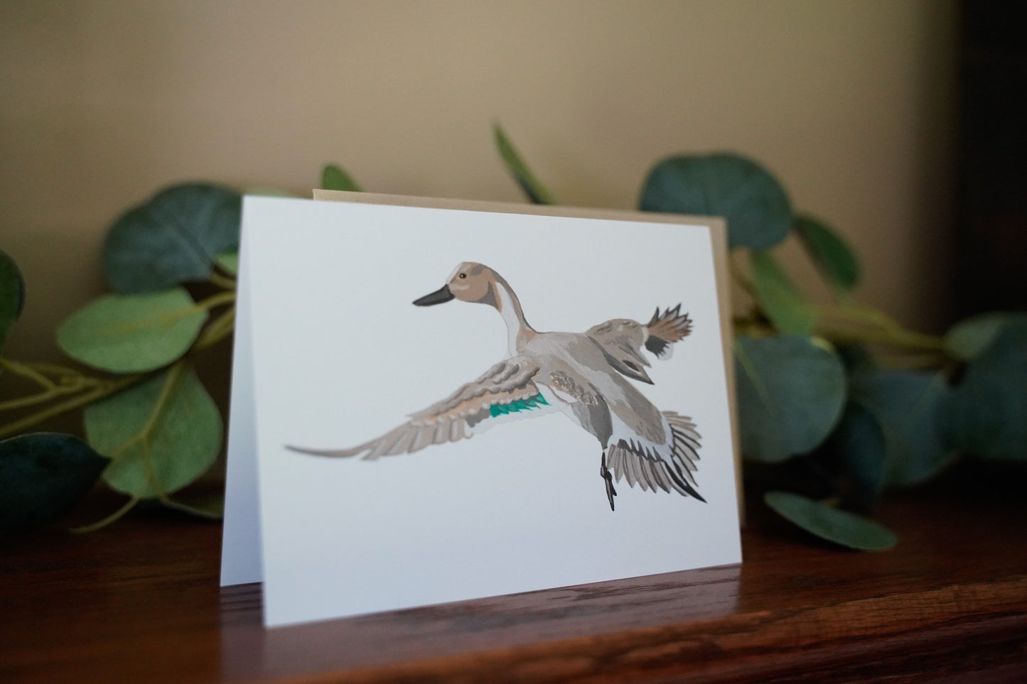 Pintail Duck Full Body - Game Bird Greeting Card