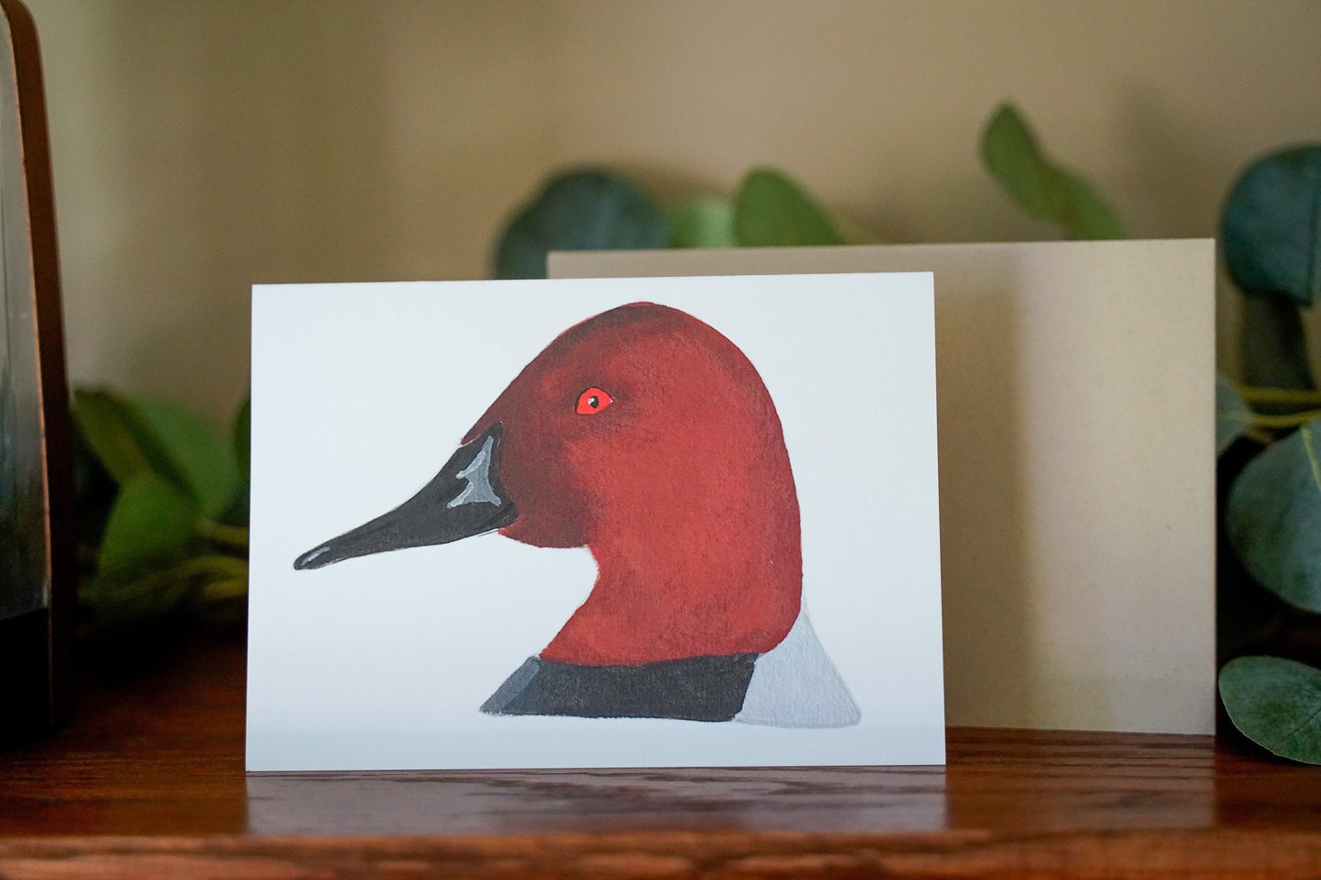 Canvasback Duck Head - Game Bird Greeting Card