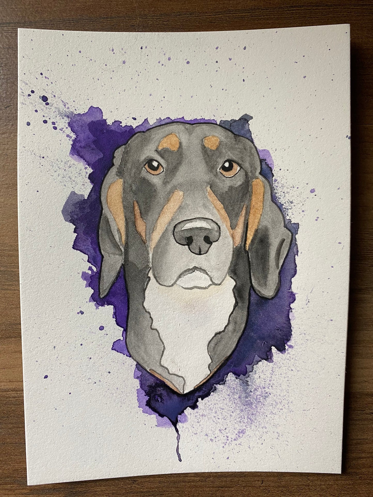 Color Splash Custom Watercolor Pet Portrait 5x7"
