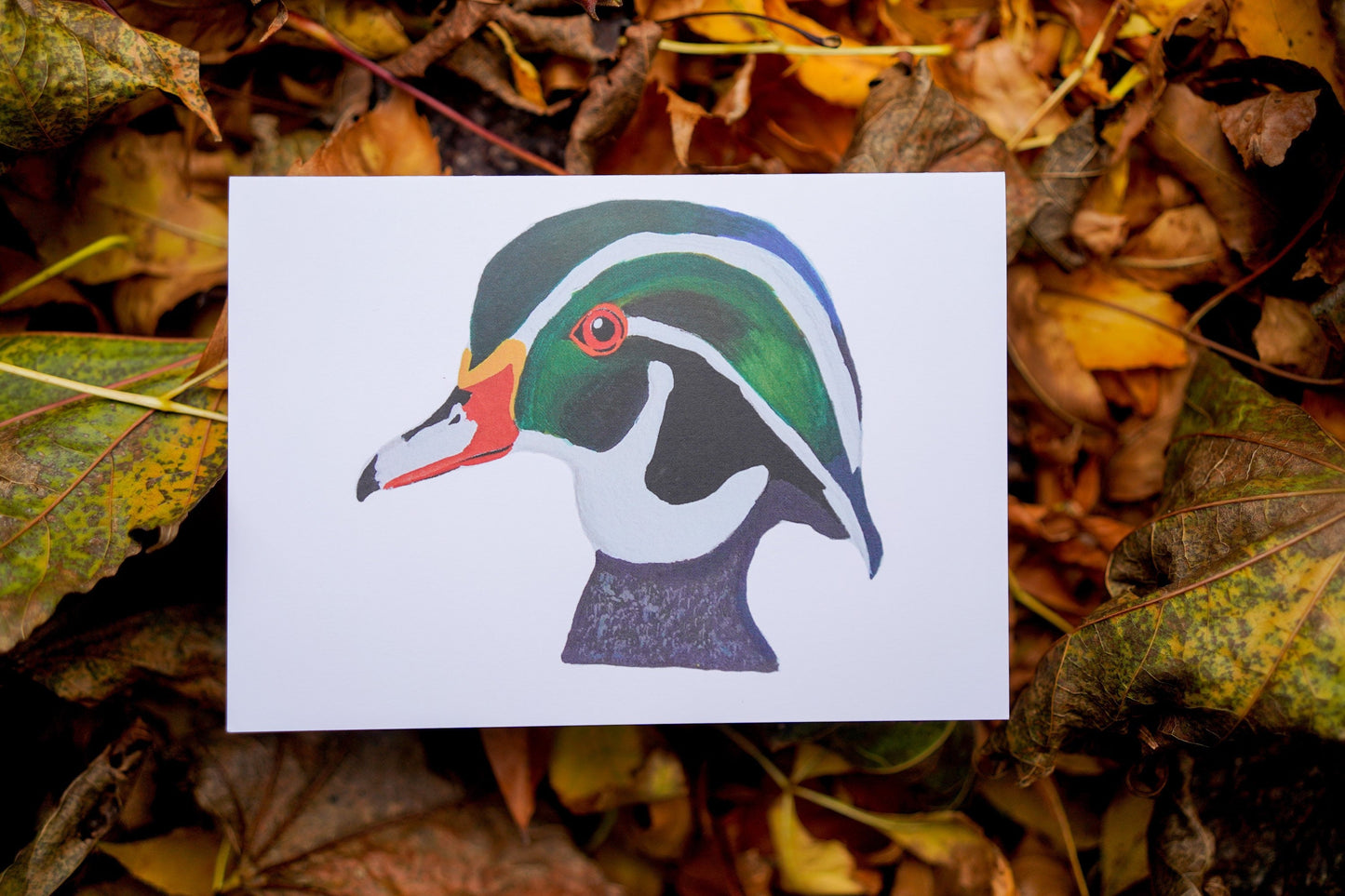 Wood Duck Head - Game Bird Greeting Card