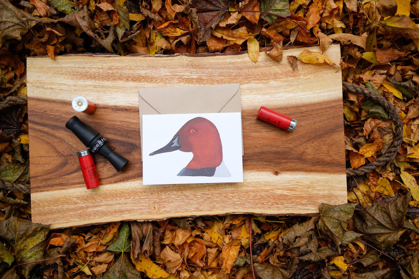 Canvasback Duck Head - Game Bird Greeting Card