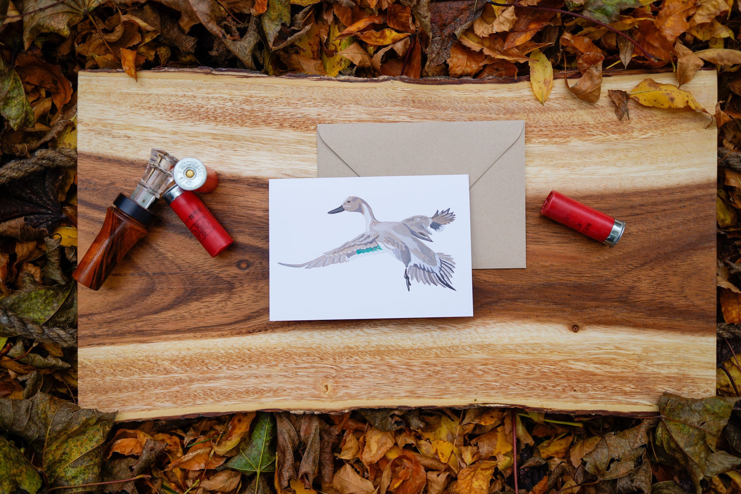 Pintail Duck Full Body - Game Bird Greeting Card