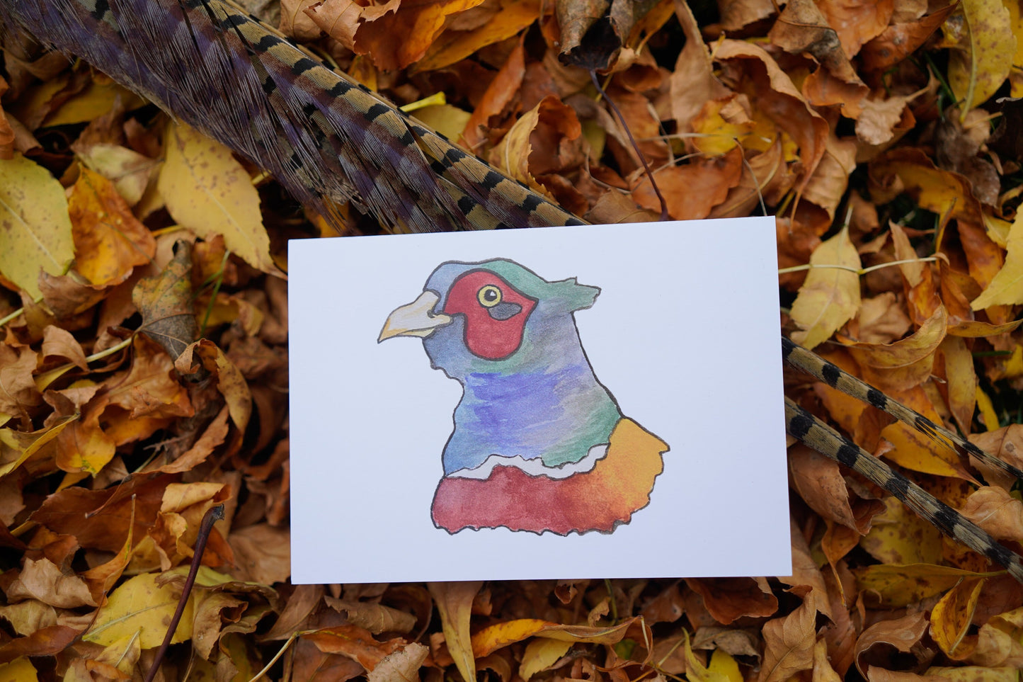 Pheasant Head - Game Bird Greeting Card