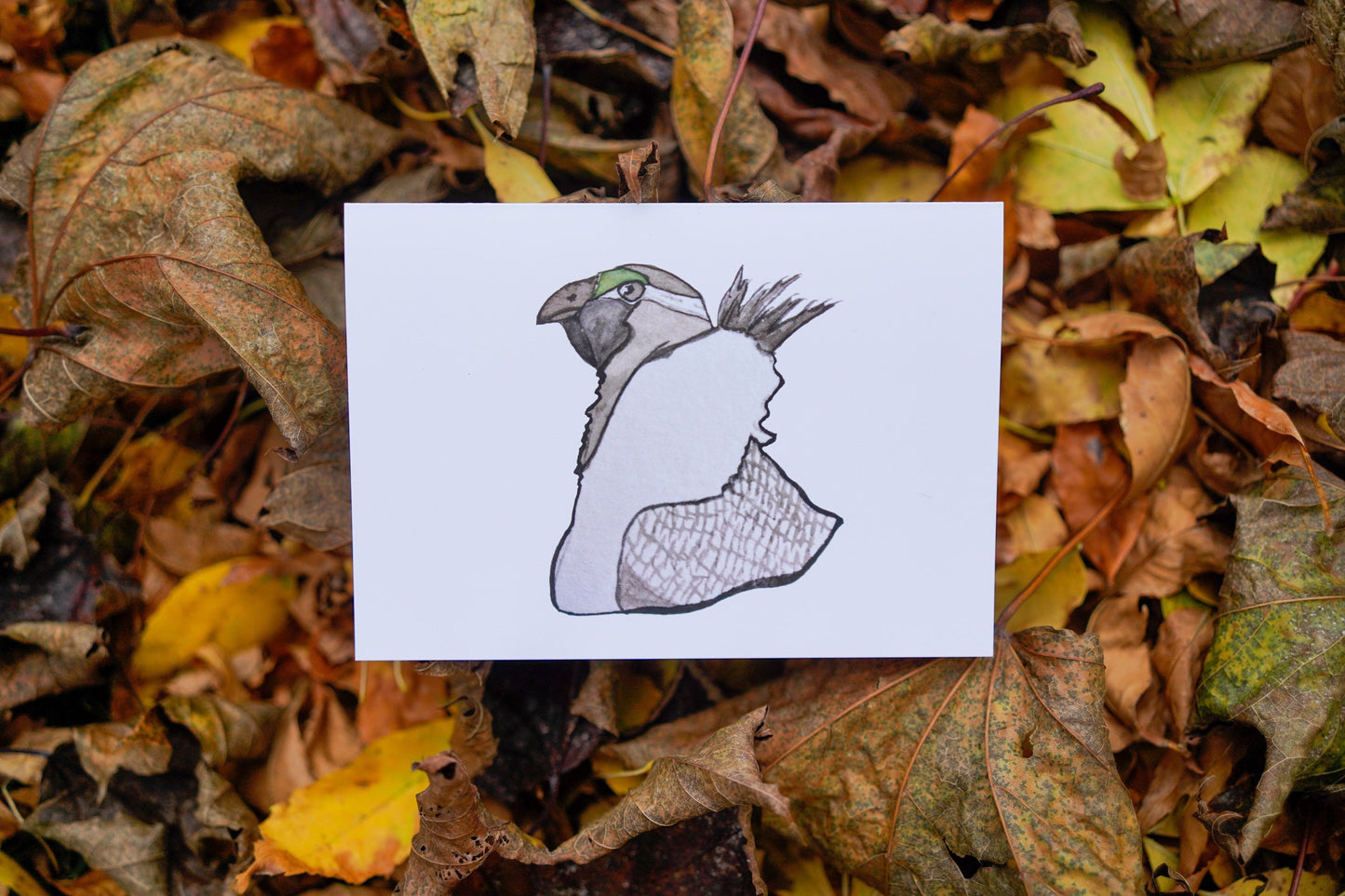 Sage Grouse Head - Game Bird Greeting Card