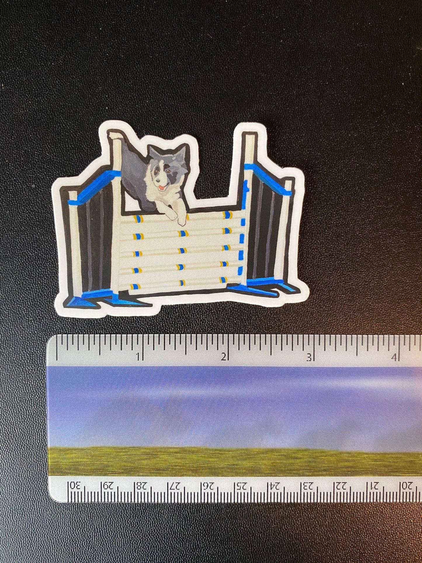 Border Collie Dog Sport Agility 3" Die Cut Vinyl Sticker Decal: Durable Matte-Finish