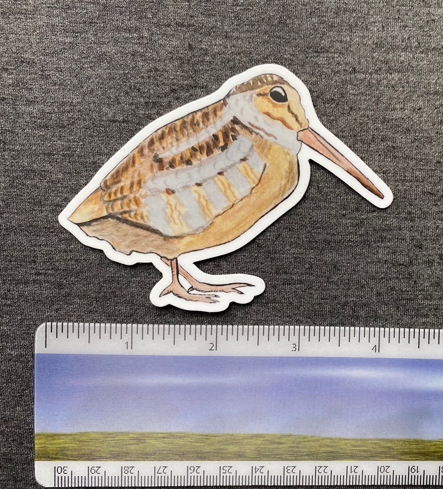 Woodcock 4” Die Cut Vinyl Sticker Decal: Durable Matte-Finish