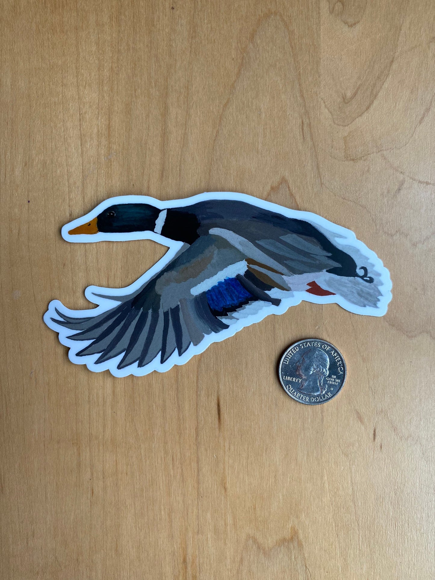 Mallard Drake Duck 5" Die Cut Vinyl Sticker Decal: Durable Matte-Finish