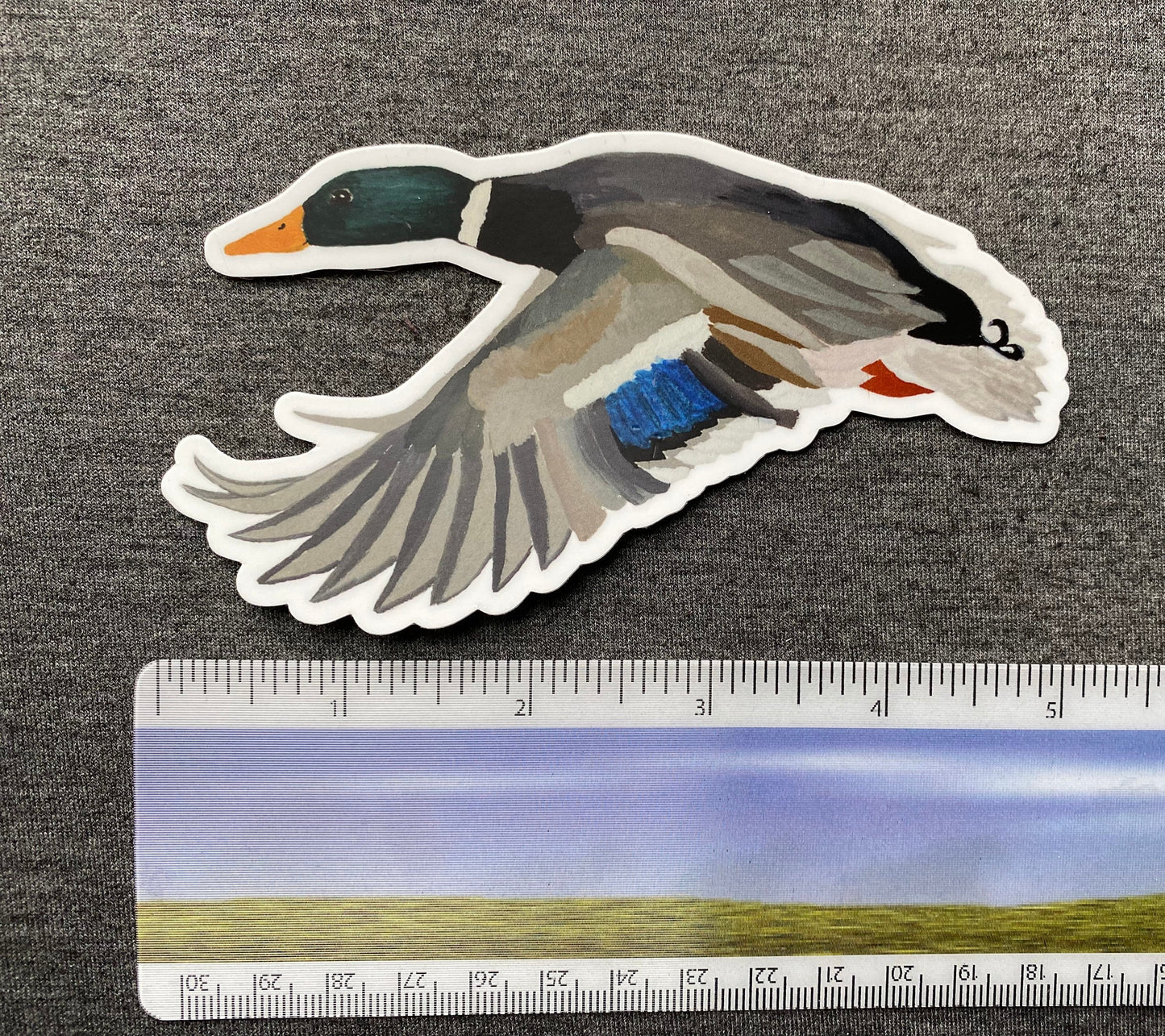 Mallard Drake Duck 5" Die Cut Vinyl Sticker Decal: Durable Matte-Finish