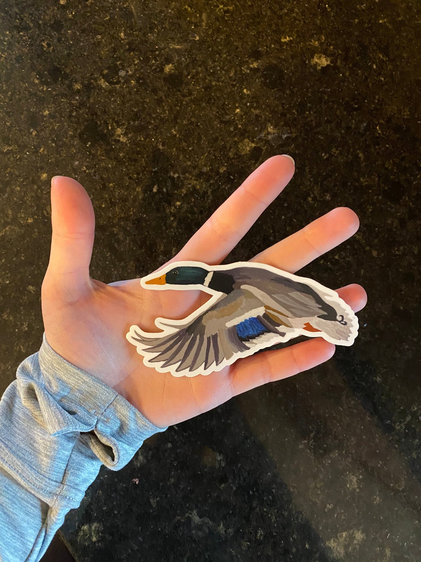 Mallard Drake Duck 5" Die Cut Vinyl Sticker Decal: Durable Matte-Finish