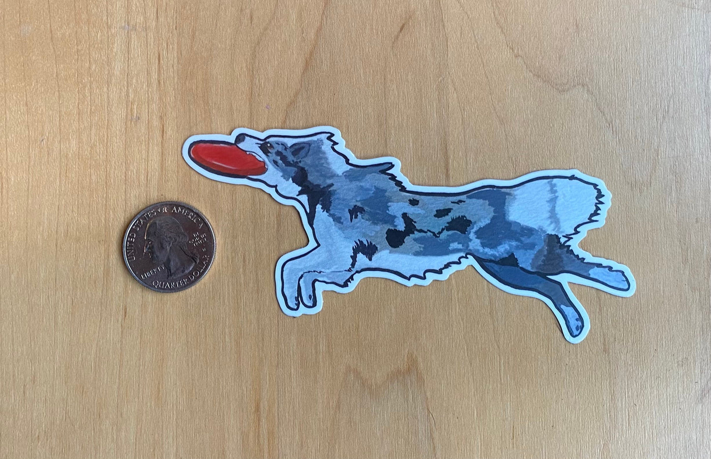 Border Collie Dog Sport Frisbee Disc 4" Die Cut Vinyl Sticker Decal: Durable Matte-Finish Active