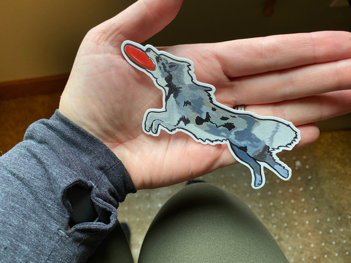 Border Collie Dog Sport Frisbee Disc 4" Die Cut Vinyl Sticker Decal: Durable Matte-Finish Active