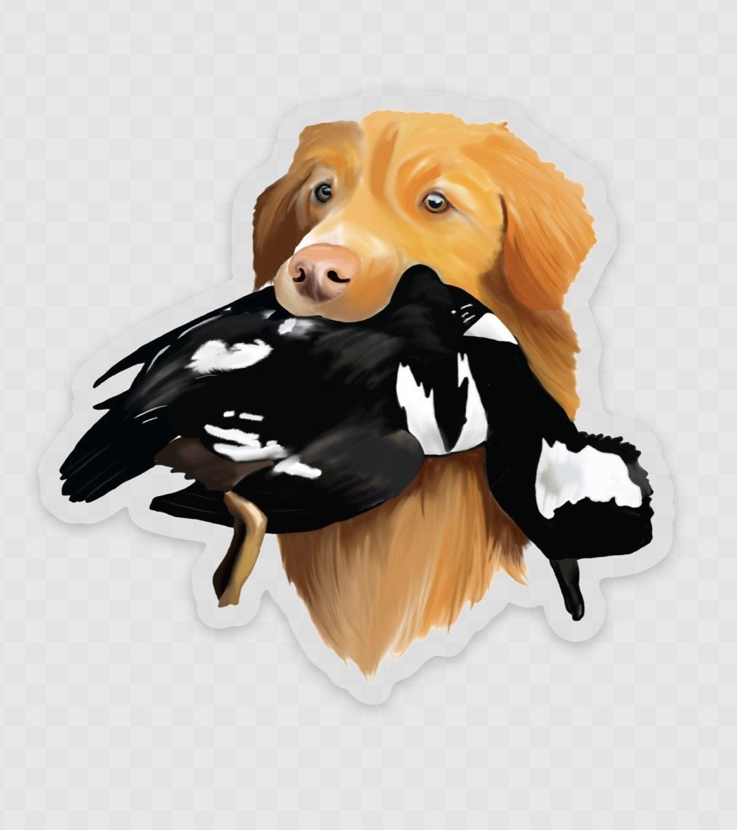 Nova Scotia Duck Tolling Retriever NSDTR Toller Duck Hunting Retrieving 3" Die Cut Vinyl Sticker Decal: Durable Matte-Finish