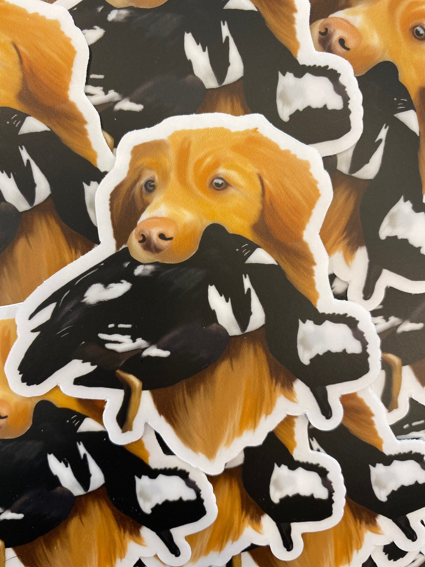 Nova Scotia Duck Tolling Retriever NSDTR Toller Duck Hunting Retrieving 3" Die Cut Vinyl Sticker Decal: Durable Matte-Finish