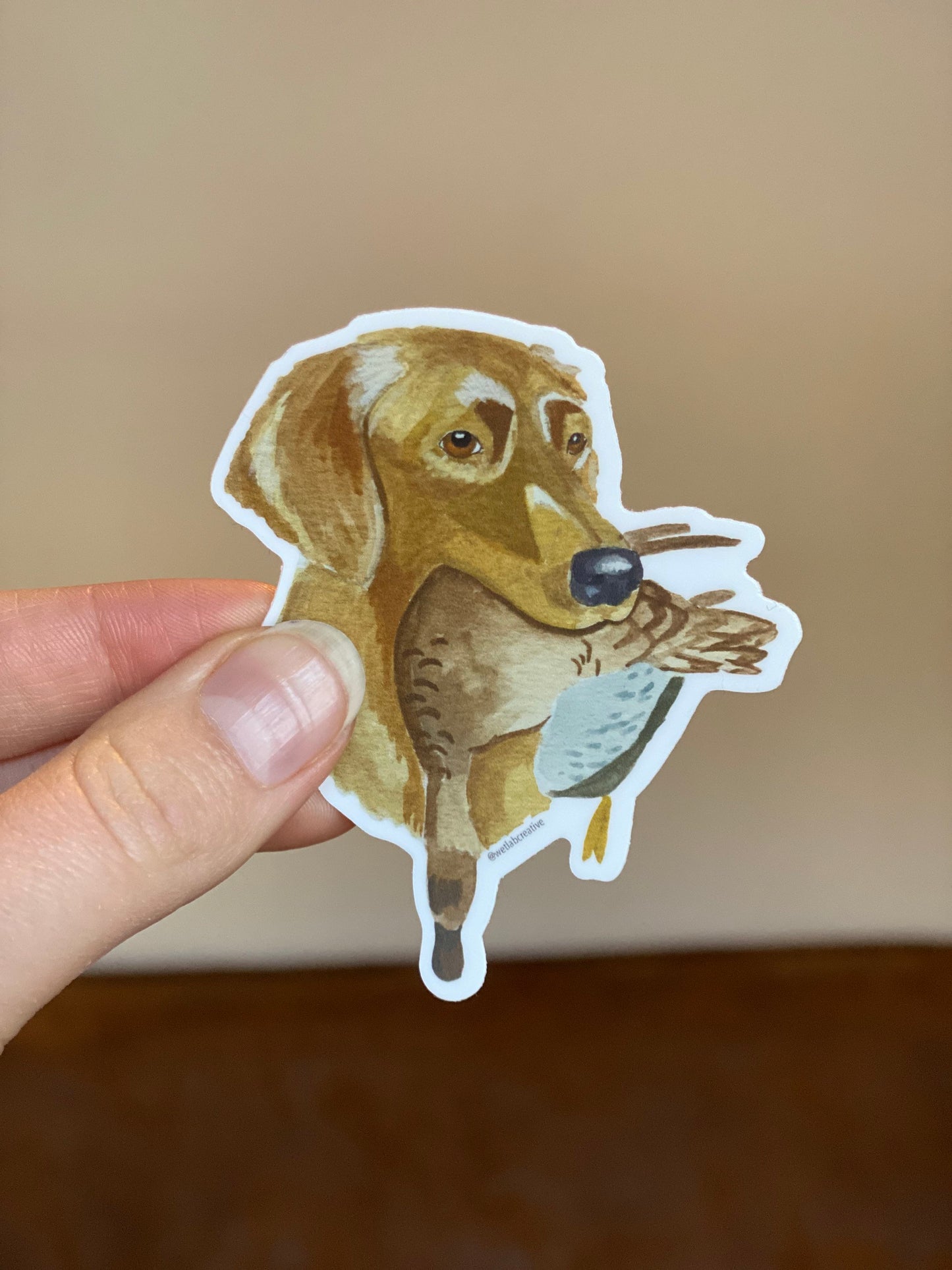 Golden Retriever Dog with Blue Winged Teal 3" Die Cut Vinyl Sticker Decal: Durable Matte-Finis