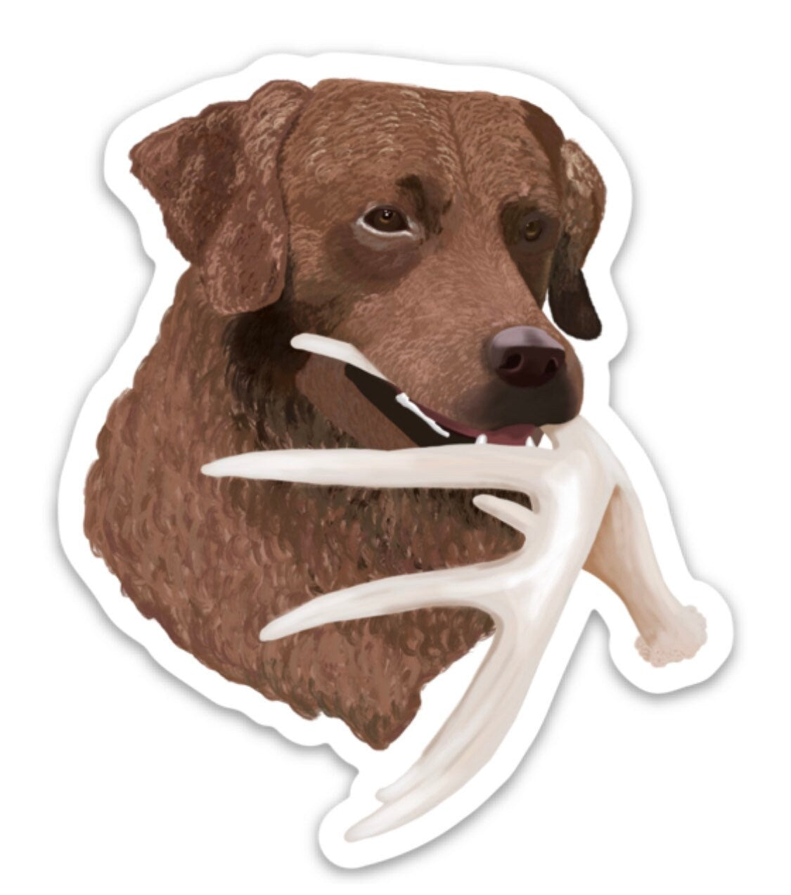 Chesapeake Bay Retriever Antler Shed Hunting Chessie Retrieving 3" Die Cut Vinyl Sticker Decal: Durable Matte-Finish