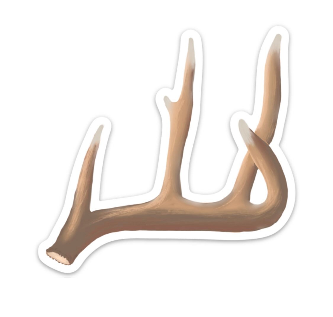 Shed Antler Whitetail Mule Deer 4" Die Cut Vinyl Sticker Decal: Durable Matte-Finish Active