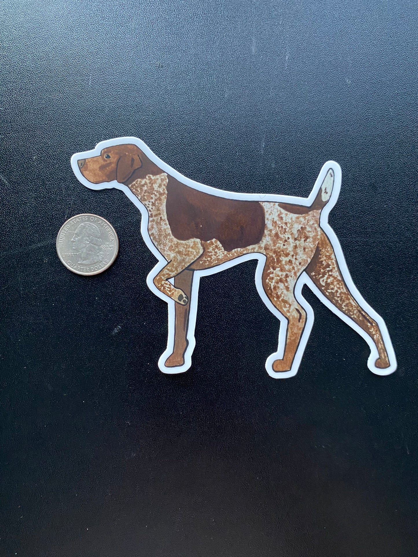 Liver Roan German Shorthaired Pointer Dog Pointing 5" Die Cut Vinyl Sticker Decal: Durable Matte-Finish Active