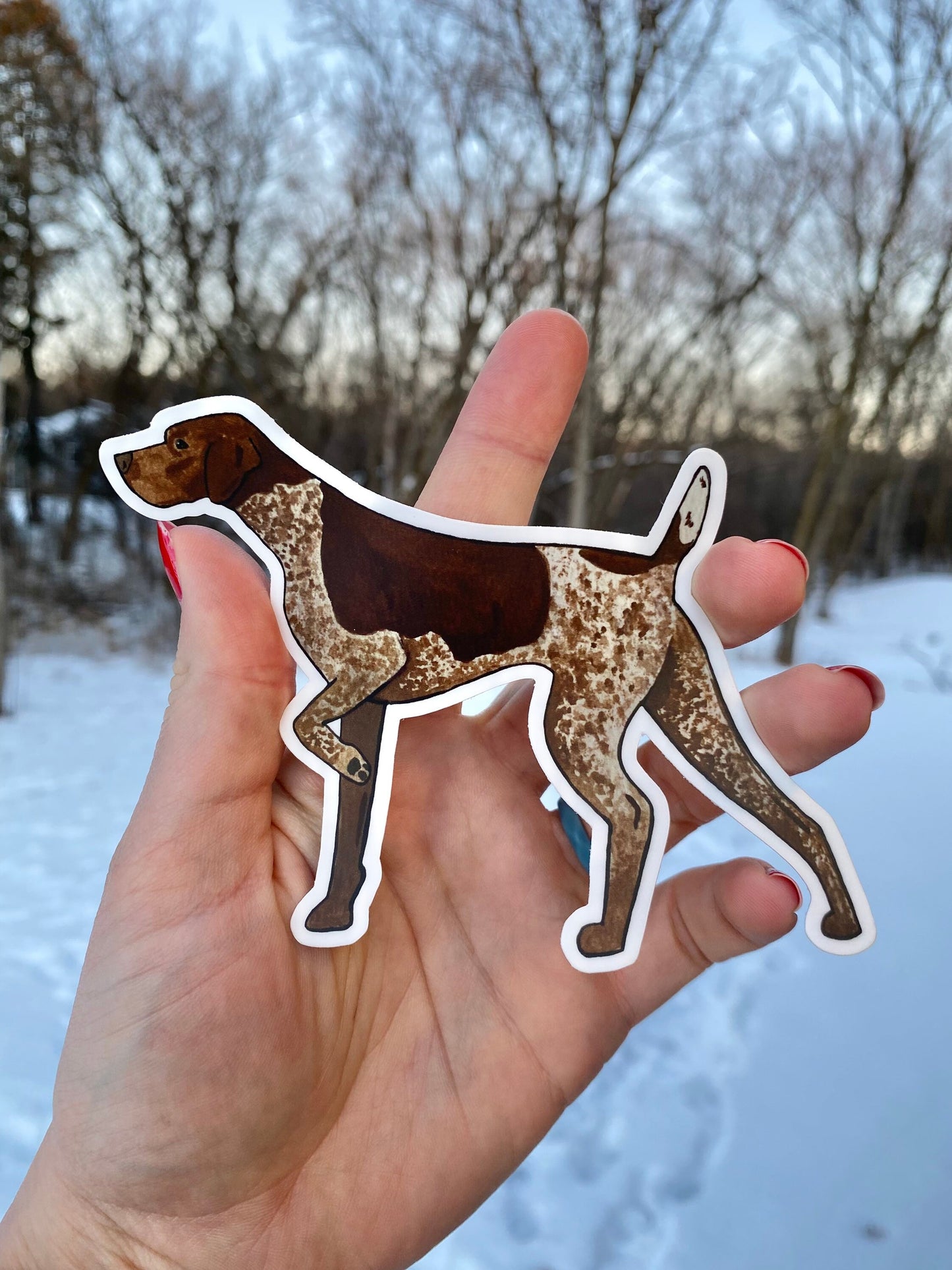 Liver Roan German Shorthaired Pointer Dog Pointing 5" Die Cut Vinyl Sticker Decal: Durable Matte-Finish Active