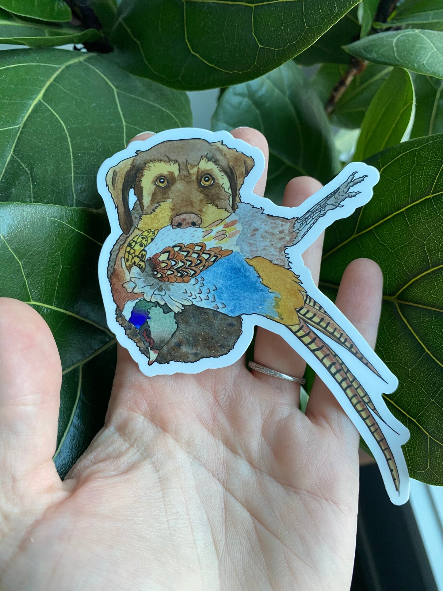 German Wirehaired Pointer Dog with Pheasant 5" Die Cut Vinyl Sticker Decal: Durable Matte-Finish Active Active