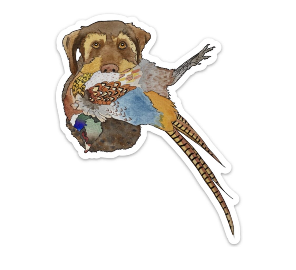 German Wirehaired Pointer Dog with Pheasant 5" Die Cut Vinyl Sticker Decal: Durable Matte-Finish Active Active