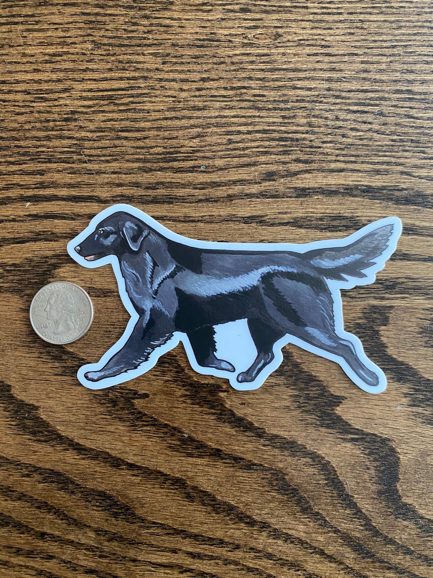 Black Flat-Coated Retriever Flattie Trotting Gaiting 5" Die Cut Vinyl Sticker Decal: Durable Matte-Finish Active