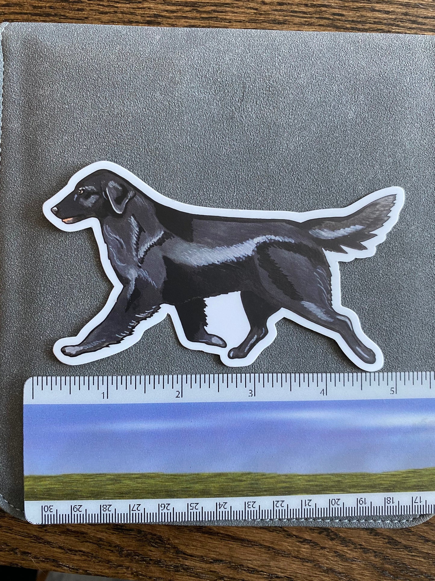 Black Flat-Coated Retriever Flattie Trotting Gaiting 5" Die Cut Vinyl Sticker Decal: Durable Matte-Finish Active