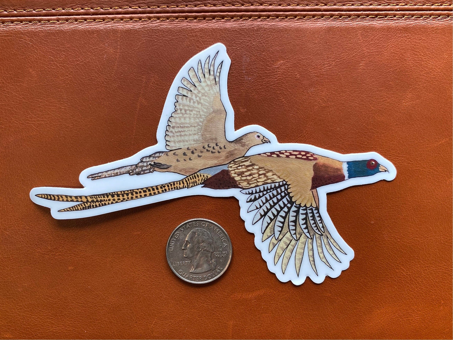 Ring Neck Pheasant Rooster and Hen 5" Die Cut Vinyl Sticker Decal: Durable Matte-Finish